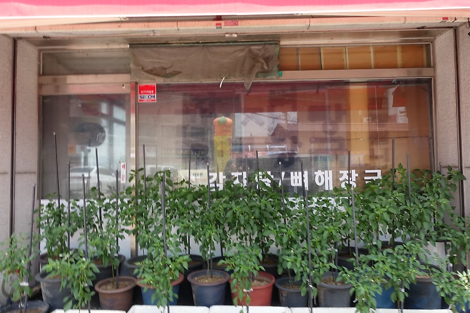 황순옥옛날감자탕 본점 사진 3