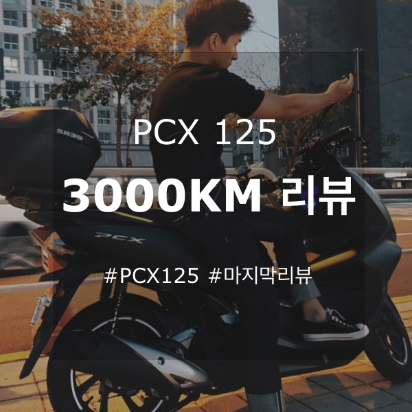 혼다 pcx125 2019년식 3000km 마지막 리뷰 (장단거리 & 텐덤 & 연비)
