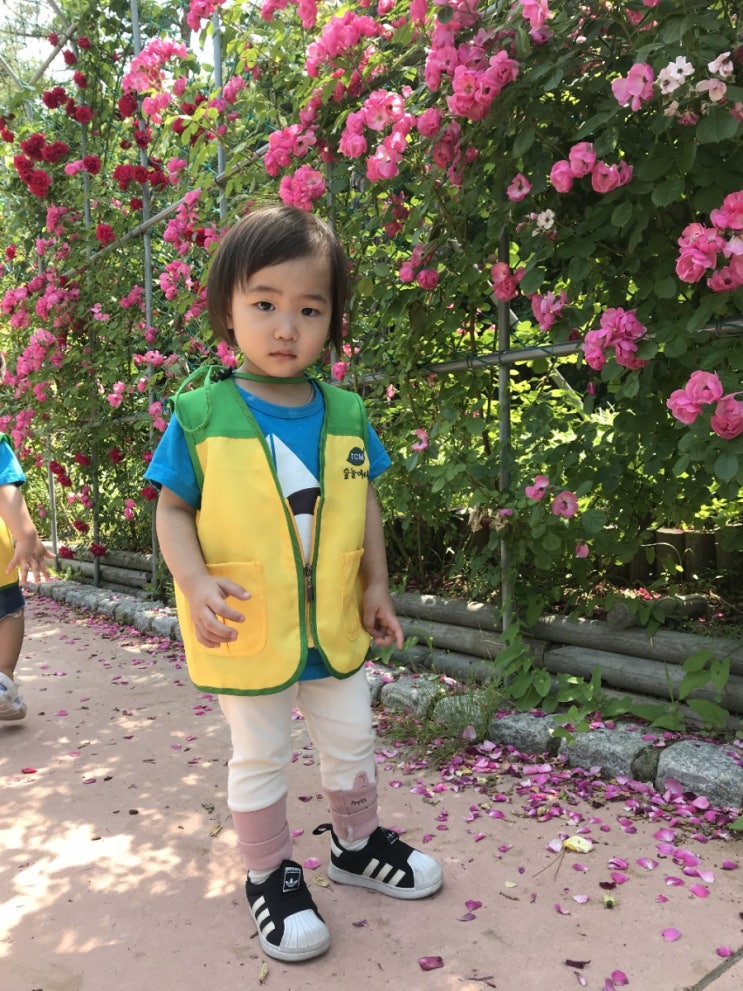  2019.6) 아휴..뭐가 그리 바쁘다고..#에릭요한슨#추피#분수대물놀이