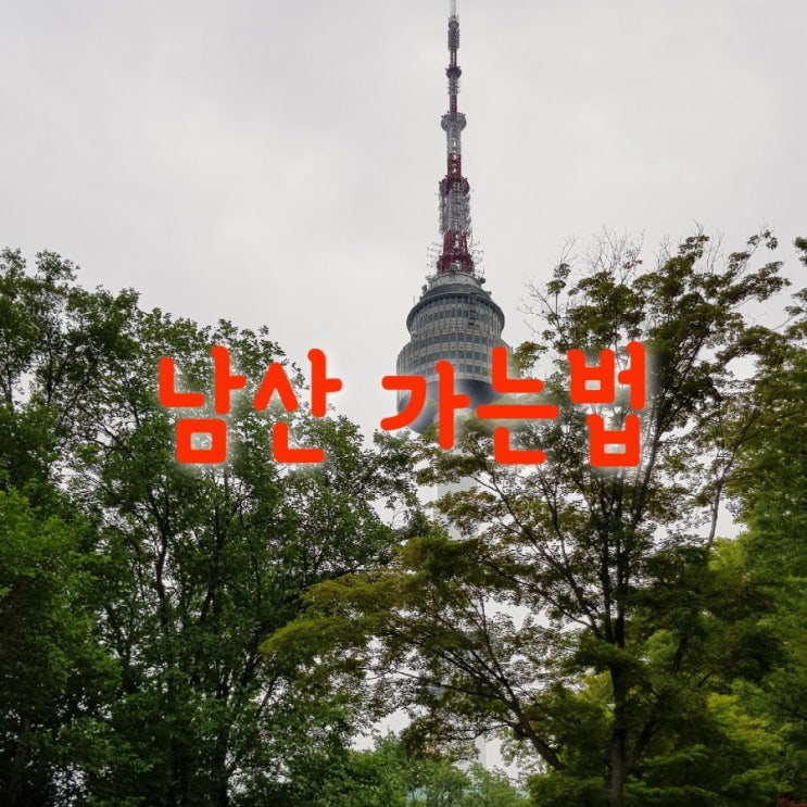  남산 어떻게 올라가요? 시내버스타고 올라가죠~