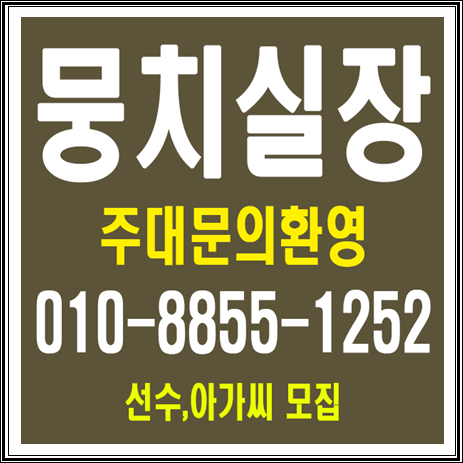  아이린 가라오케 엑살란트고지