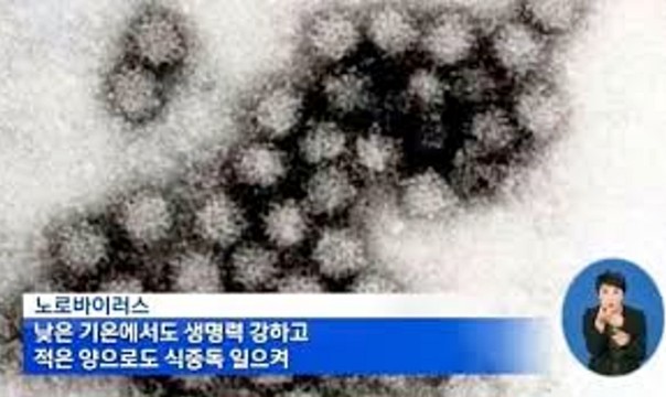  노로바이러스 예방 교육자료