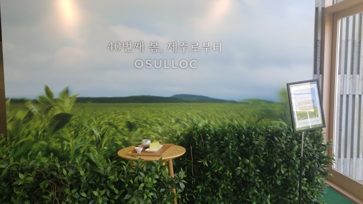  [제주 핫플레이스] 푸른 녹차밭과 함께 사진 찍기 좋은 오설록 티 뮤지엄(With. 이니스프리 제주하우스)