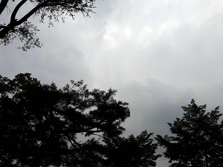  청년통장 포퓰리즘 정책의 하이라이트....