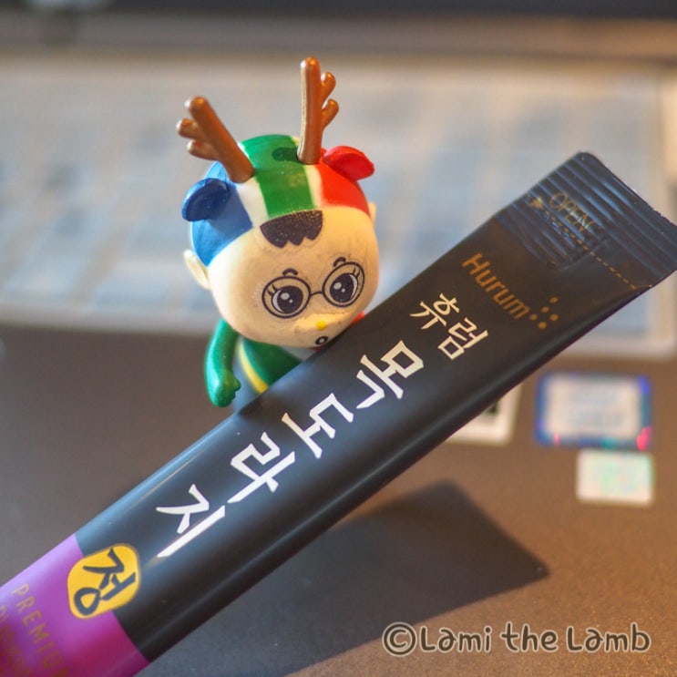  사랑이 담긴 휴럼 도라지정