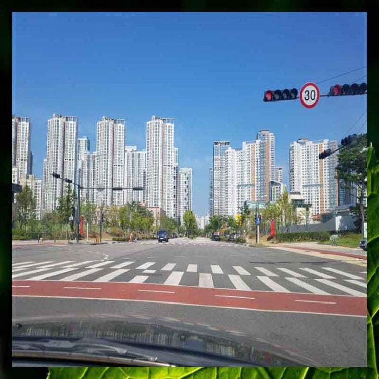  운전면허등록비 마포구도로연수 드디어 극복함