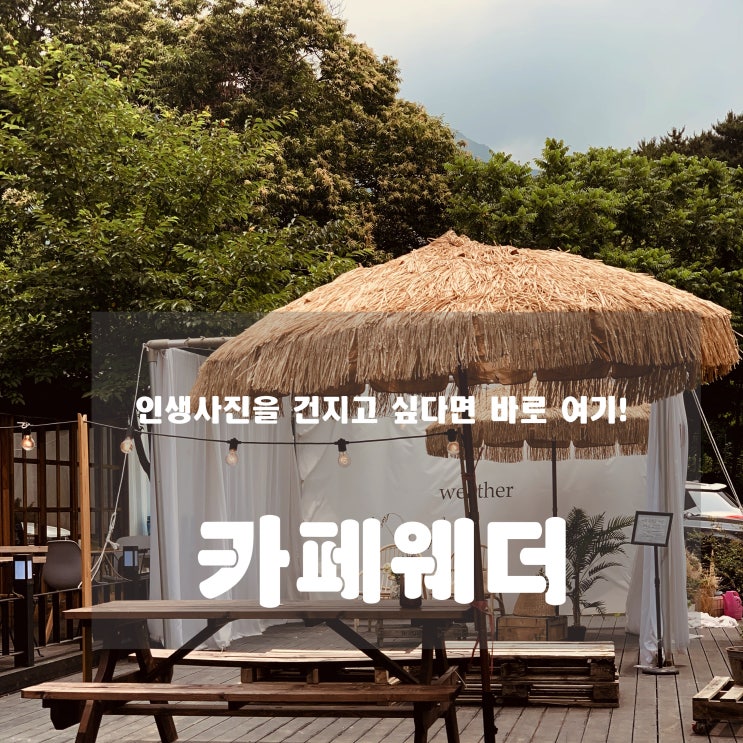  [카페] 하남 : 카페웨더 - 인생사진을 찍고 싶다면 여기로!!