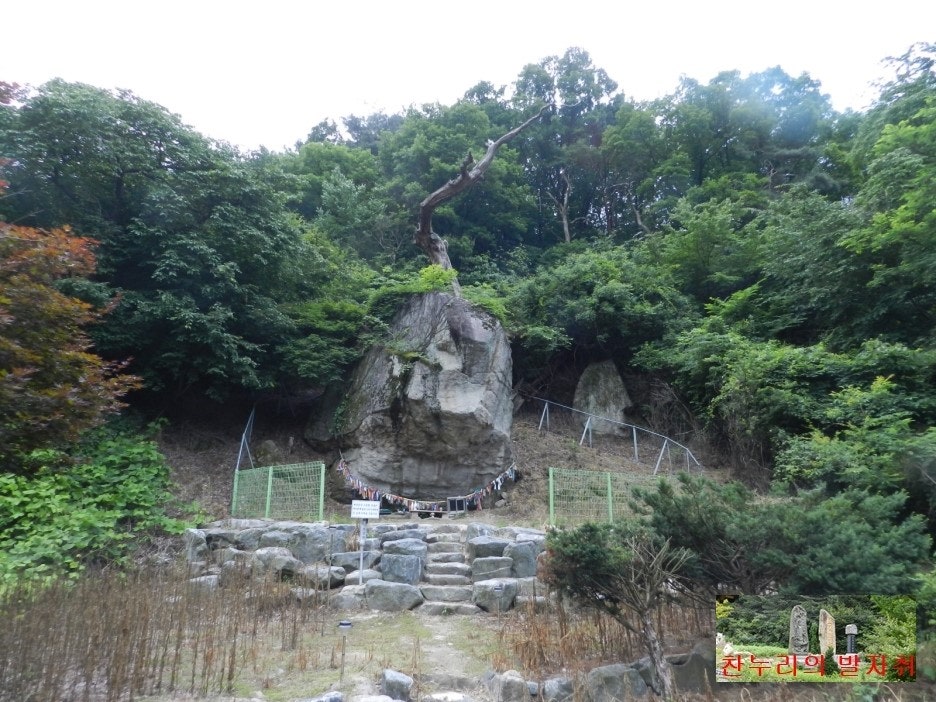 낭골 사진 6