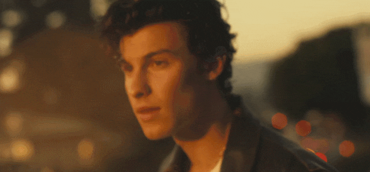  Shawn Mendes, Camila Cabello (션 멘데스, 카밀라 카베요) - Señorita (Senorita) 가사 / 해석