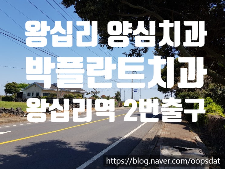  왕십리 양심치과 실속있는 임플란트가격
