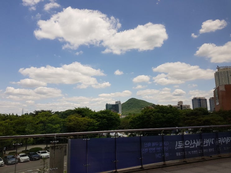  [엠로 라이프] 2019 엠로 패밀리 세미나