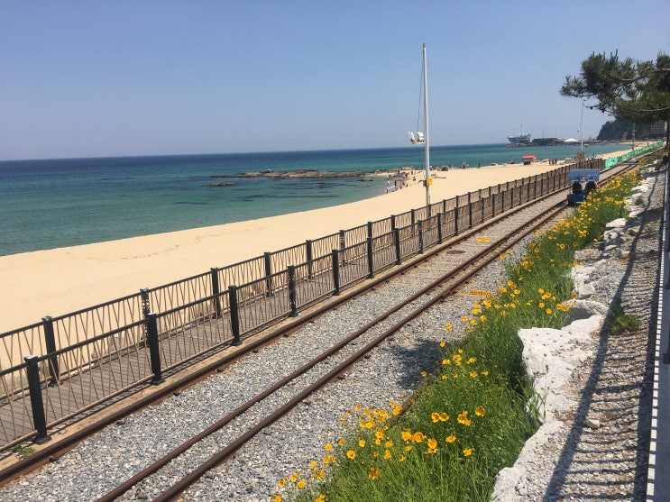  [후기/정동진1박2일] 강릉 KTX / 강릉 정동진 썬크루즈 호텔 / 정동진해변 / 썬한식 / 해물전복칼국수 전골