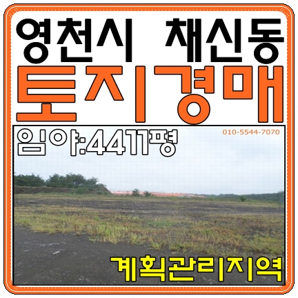  [영천시토지경매]경상북도 영천시 채신동 임야경매 계획관리지역 영천시대지경매 토지경매 대구법원경매 임야:4411평