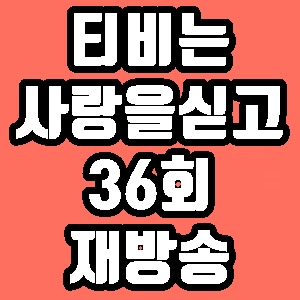 티비는 사랑을 싣고 윤유선 36회 재방송 다시보기 방송시간 편성표