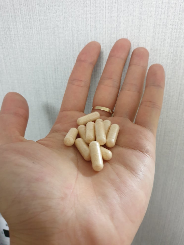 식물성유산균 중요한 이유, 더 불가리쿠스 오리지널 생생 후기 식물성유산균 중요한 이유, 더 불가리쿠스 오리지널 생생 후기