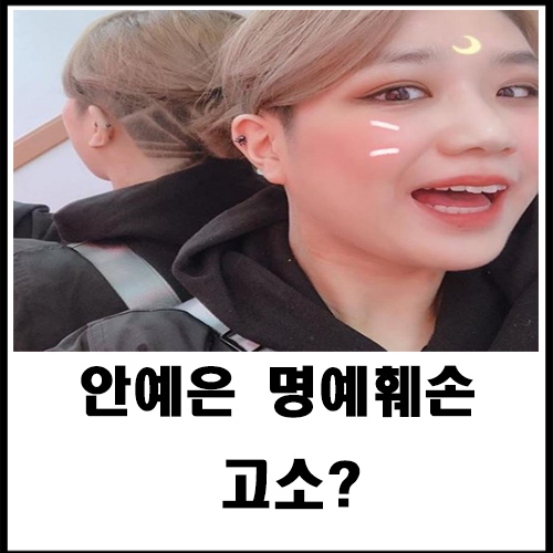  안예은 명예훼손 고소?