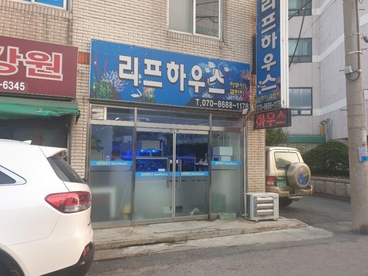  잘지내길 바래 .. ( 팬더그루퍼,크리너새우 입주;)