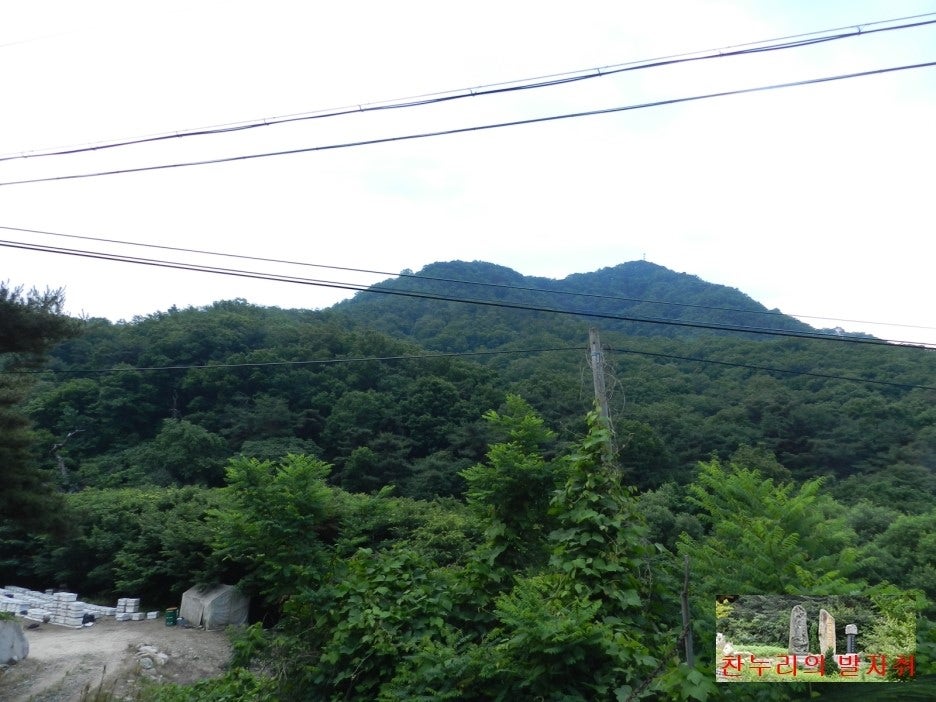 낭골 사진 3
