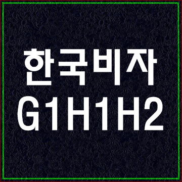  한국비자종류13 (G1 H1 H2비자)