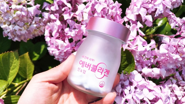  먹는콜라겐 에버콜라겐 인&업 부작용 없는 3달 섭취 후기!!