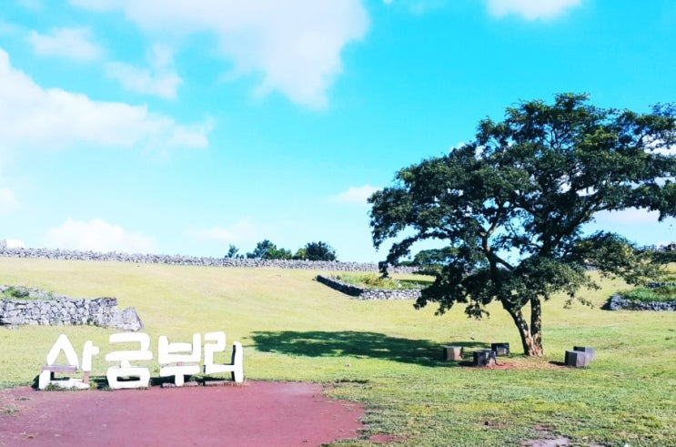  여름 제주도 여행코스 추천 - 제주 산굼부리 분화구 보며 힐링하고 오세욤