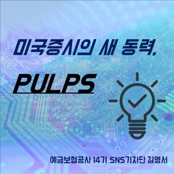  미국증시의 새 동력, PULPS