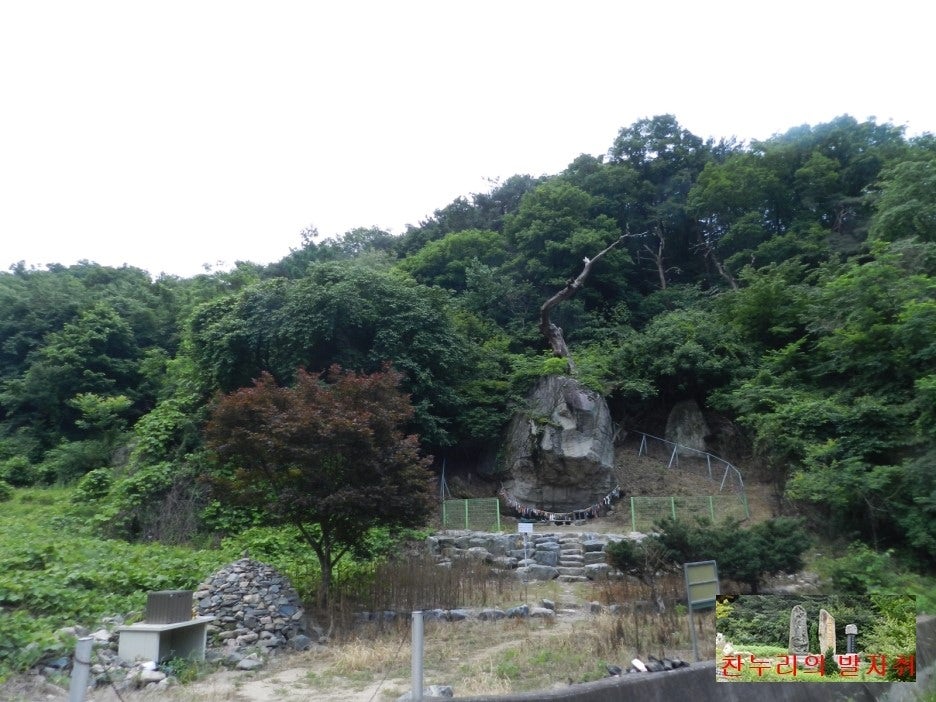 낭골 사진 5