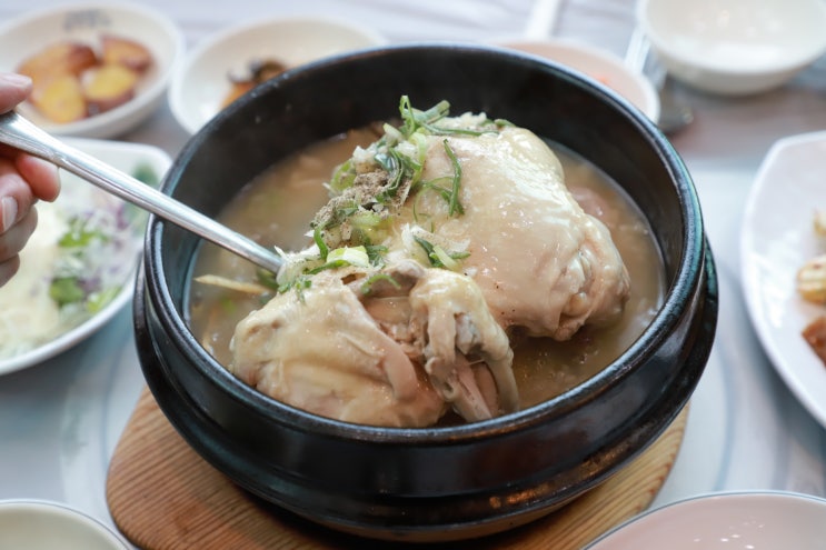  남한산성 백숙 닭도가니 맛있다는 장마담집