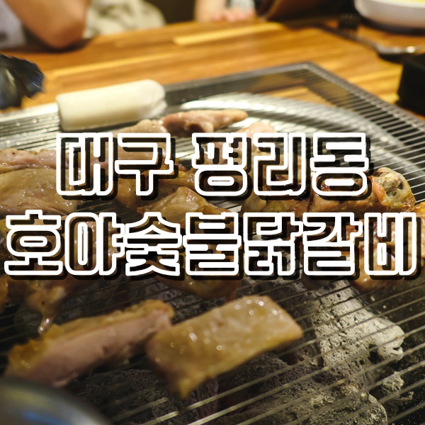  대구 평리동 맛집 불맛가득한 호야숯불닭갈비