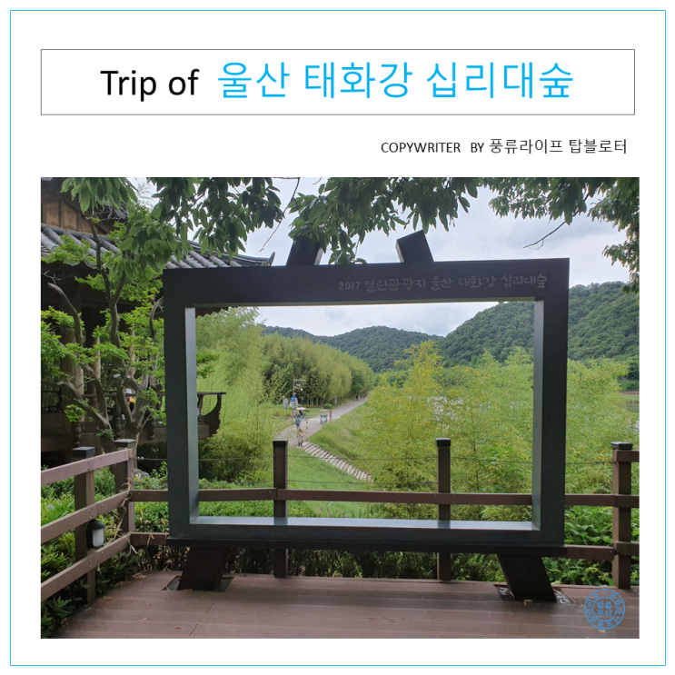 [울산 여행] 추천 명소-태화강 십리대숲