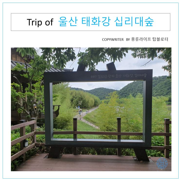  [울산 여행] 추천 명소-태화강 십리대숲