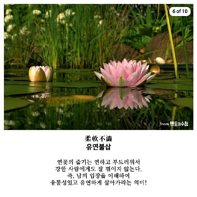  숫자가 알려주는 삶의 지혜