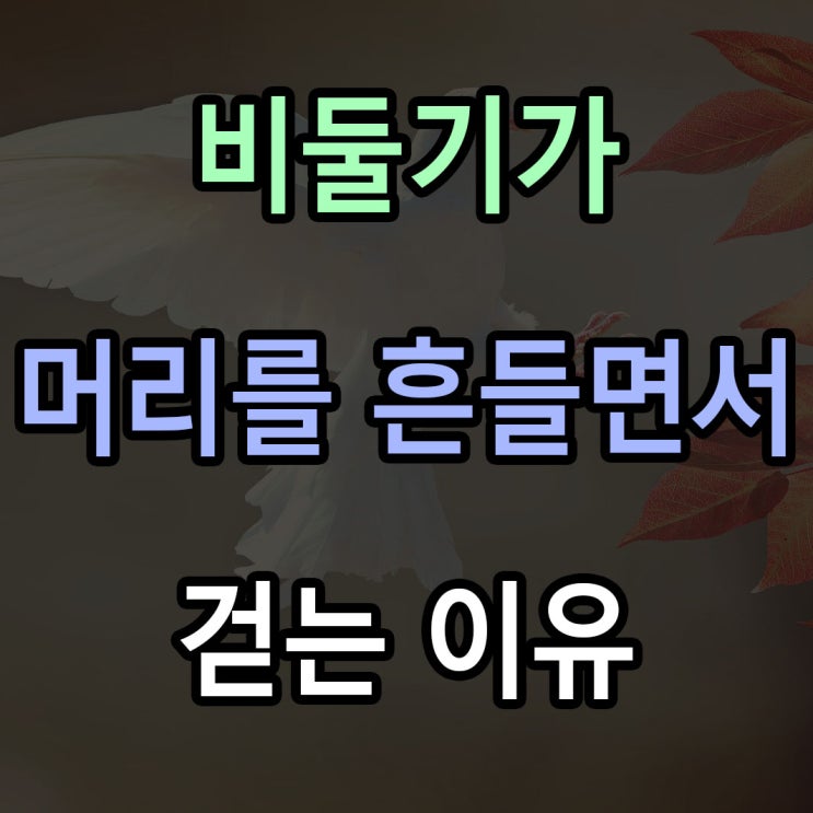  비둘기가 걸을때 머리를 흔드는 이유 / 비둘기는 왜 머리를 흔들면서 걸을까?