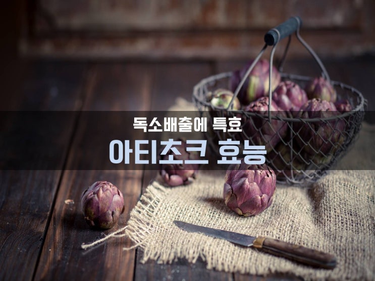  아티초크 효능 알려지지 않은 불로초