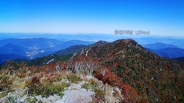  댓글수, 공감수, 조회수 순위 - 2019년 6월 20일