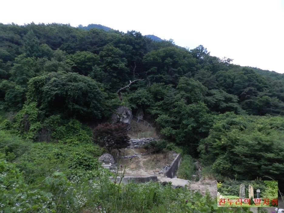 낭골 사진 4