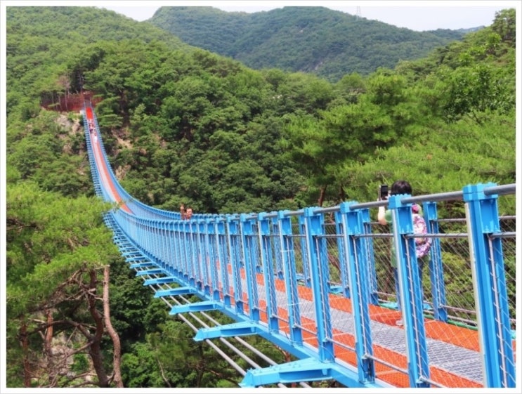  원주 여행코스 소금산 출렁다리 스카이워크 다녀 왔쪄요. 