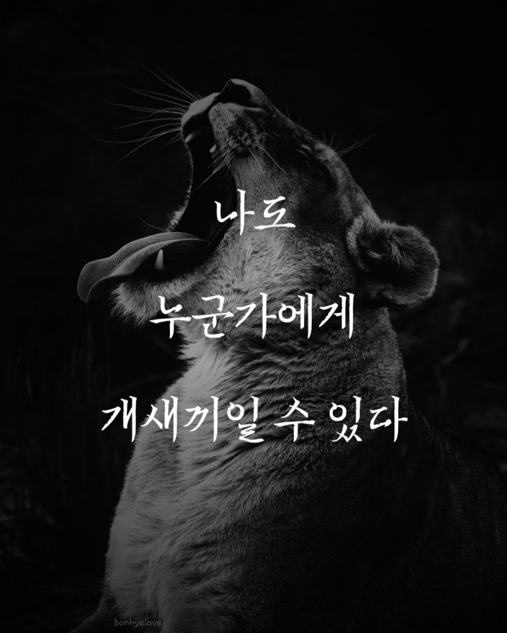 [드라마]검색어를 입력하세요www_명대사3탄