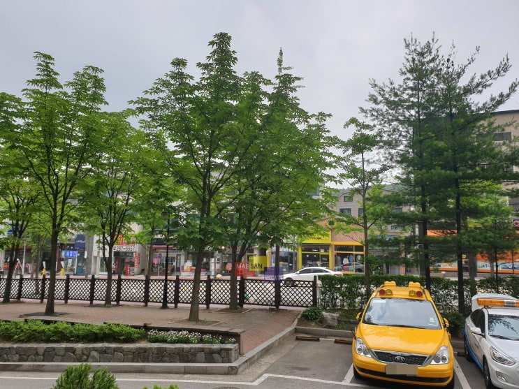 분당 서울대병원 다녀왔어요, 아프지 마세요, 이래저래 힘듭니다