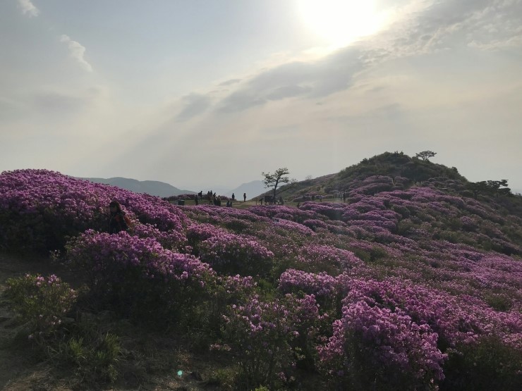  황매산(19.05.06)