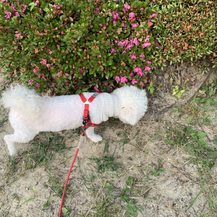  [일상]종강 아닌 종강