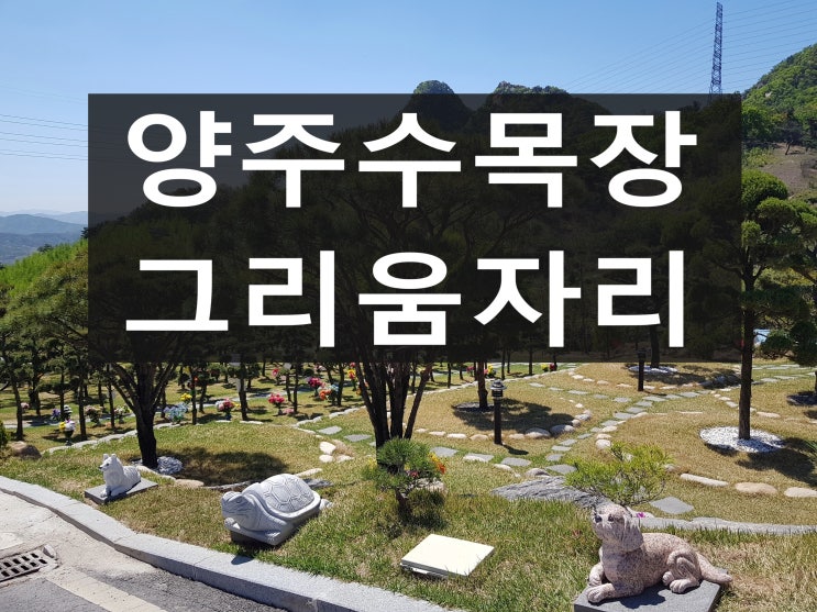  양주 수목장 편안히 모셔 드렸습니다