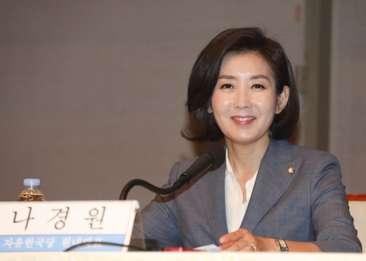  나경원 “달창, ‘달빛 창문’ 줄임말인 줄 알고 썼다”