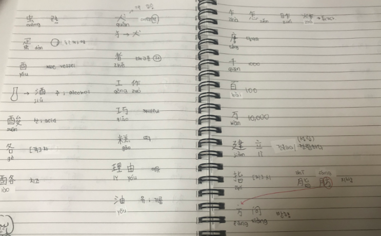  IB Chinese 중국어 공부에 관한 팁