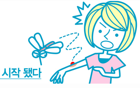  본격적인 모기 퇴치 아이템 한눈에 보기합배가능!!
