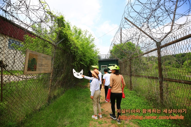  파주 여행 주말엔 DMZ 캠프 그리브스 셔틀버스 공감여행