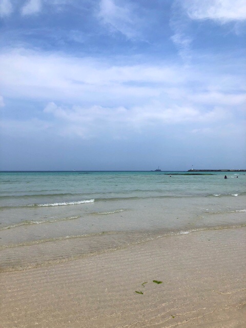  190613_제주 Day3 :한림칼국수/협재해수욕장/할로비치