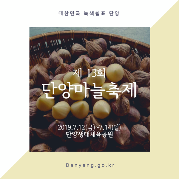  단양군 황토마늘 수확 현장 한창! 7월 가볼 만한 축제 단양마늘축제 안내