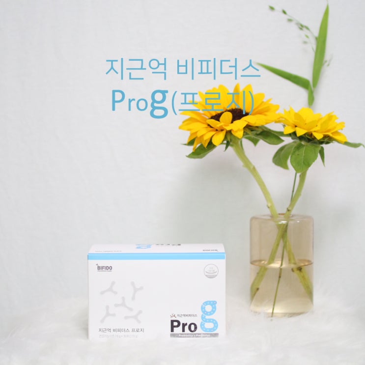  물에 타먹는 프리바이오틱스 지근억비피더스 프로지로 여름준비하기!