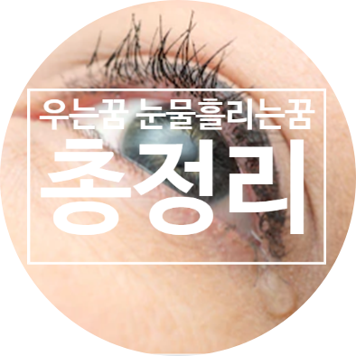 우는꿈 대성통곡하는꿈 가족이우는꿈 총정리
